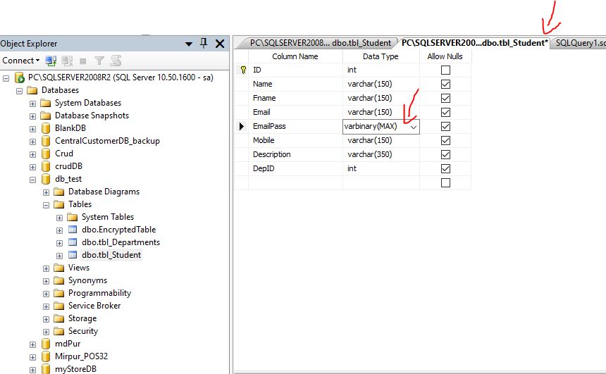 How to Enable Column Level Encryption in SQL Server 02